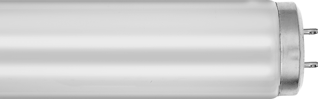 Çift Pimli Tüp Ampuller, T12, 15" Toplam Uzunluk, 4200K, 650 Lumens
