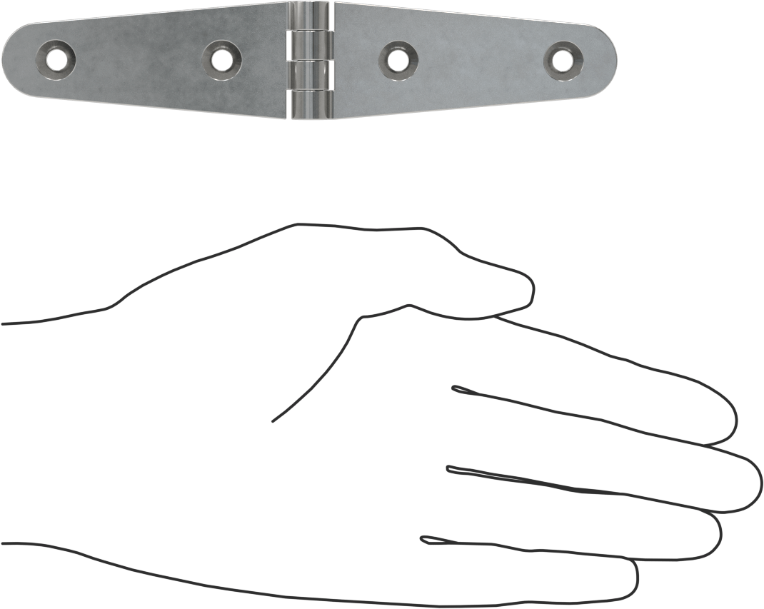 Kayış Menteşesi, Parlatılmış 316 Paslanmaz Çelik, 1-1/8“ x 2-15/16” Kapı Kanadı