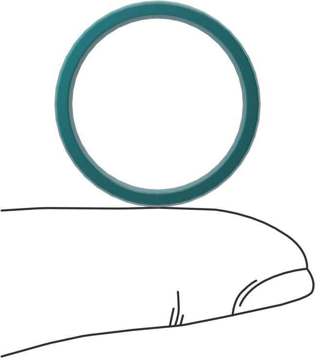 Head Seal, for 1" Bore Diameter