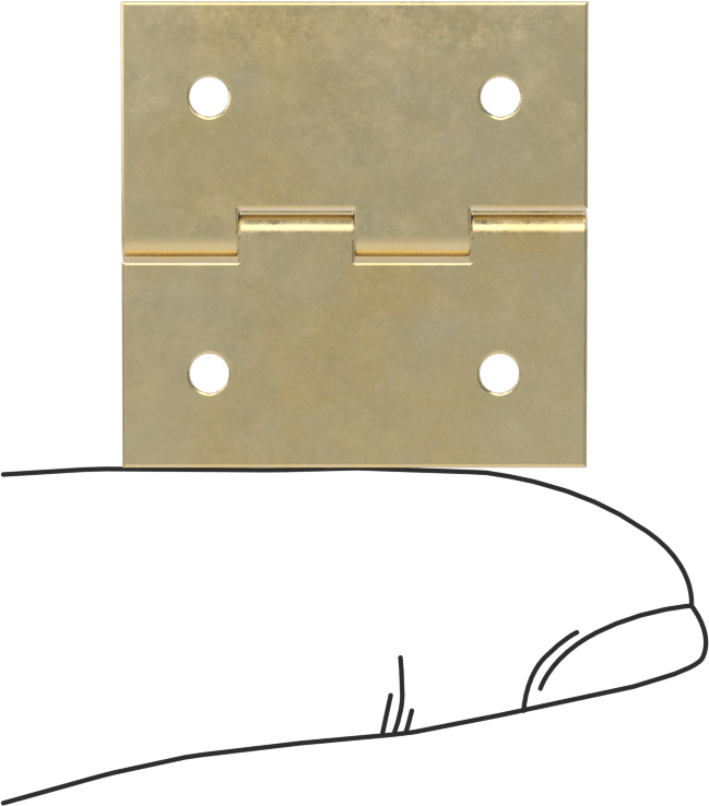 Delikli Yüzeye Montaj Menteşesi, Pirinç, Çıkarılamayan Pim, 1“ x 1/2” Kapı Kanadı