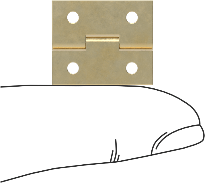 Delikli Yüzeye Montaj Menteşesi, Pirinç, Çıkarılamayan Pim, 3/4“ x 5/16” Kapı Kanadı