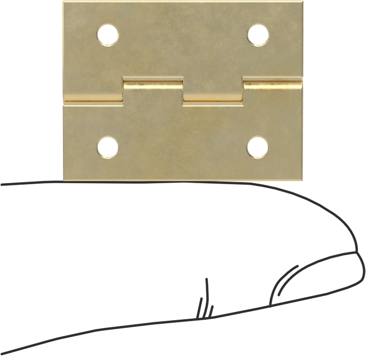 Delikli Yüzeye Montaj Menteşesi, Pirinç, Çıkarılamayan Pim, 1“ x 3/8” Kapı Kanadı