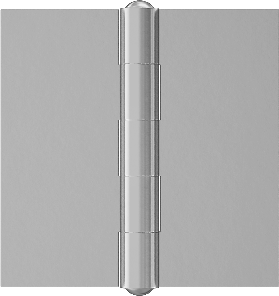 Delikli Menteşe, Çıkarılamayan Pim, 2-1/2“ x 1-1/4” x 0,08" Kanatlar