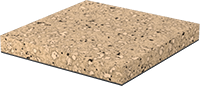 1644N13
