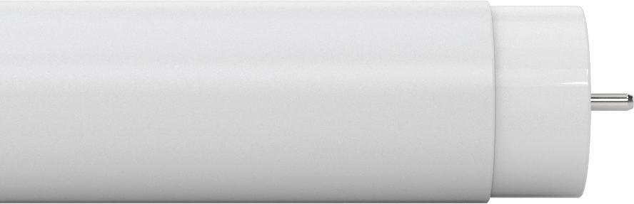 Tüp Şeklinde Ampuller, Çift Pimli Taban, T8, 24" Toplam Uzunluk, 5000K, 1150 Lumens