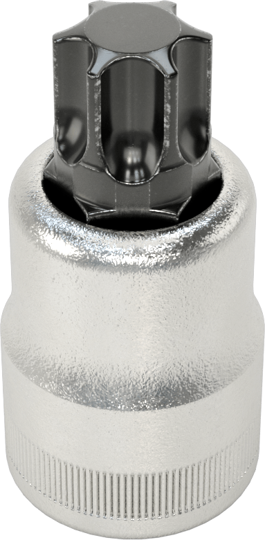 Torx Uç Soketi, 3/4" Kare Tahrik, T100 Boyutu, 3-3/16" Uzunluk