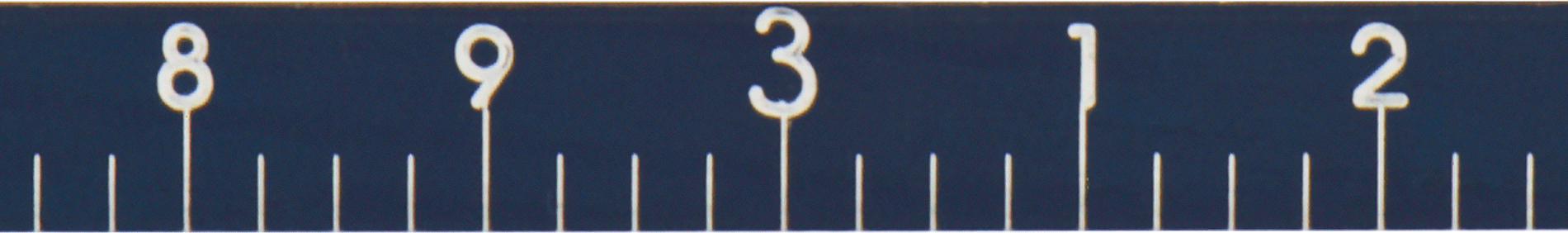Inch