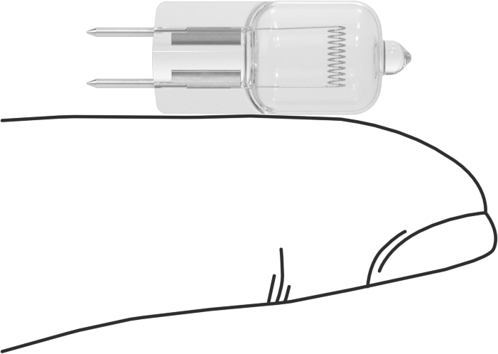 Çift Pimli Tabanlı Minyatür Ampul, Anma Numarası 785, 6V