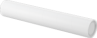 20545T25