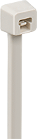 2055N13
