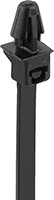 2056N24