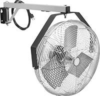 Fanlar