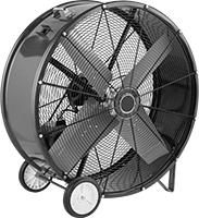 Fanlar