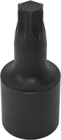 Darbeli Torx Uçlu Soketler