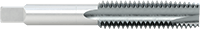 25315A101