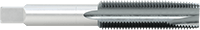 25315A102