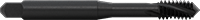 25595A81