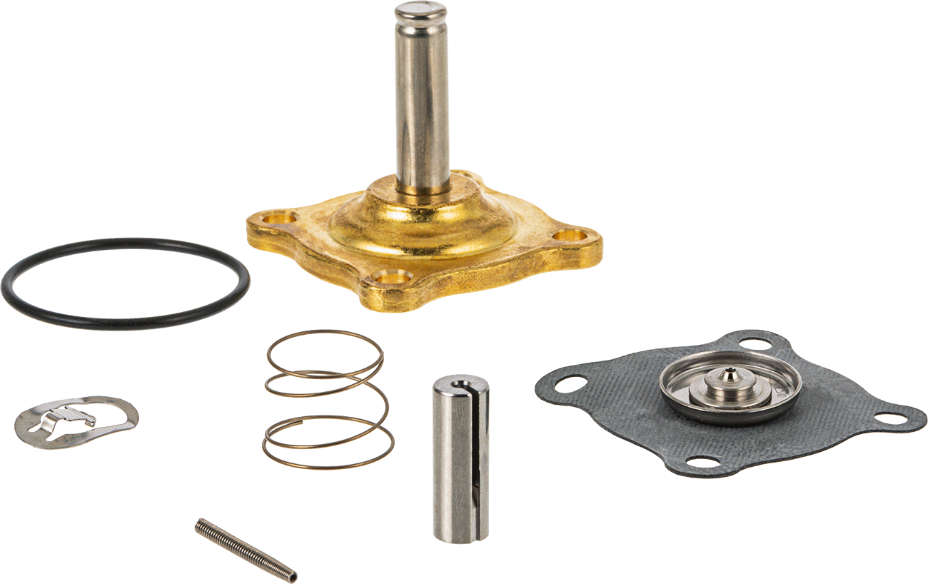Asco 302277 Valve Repair Kit for 3/4 Pipe Size