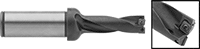 2769N13