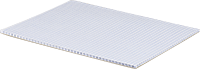 2898T51
