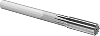 Raybalar