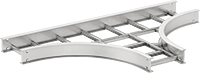 30065T421