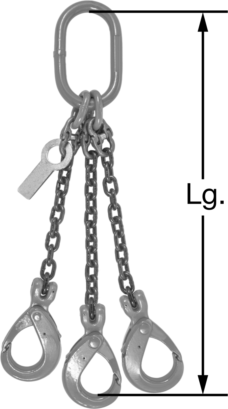 3 Legs