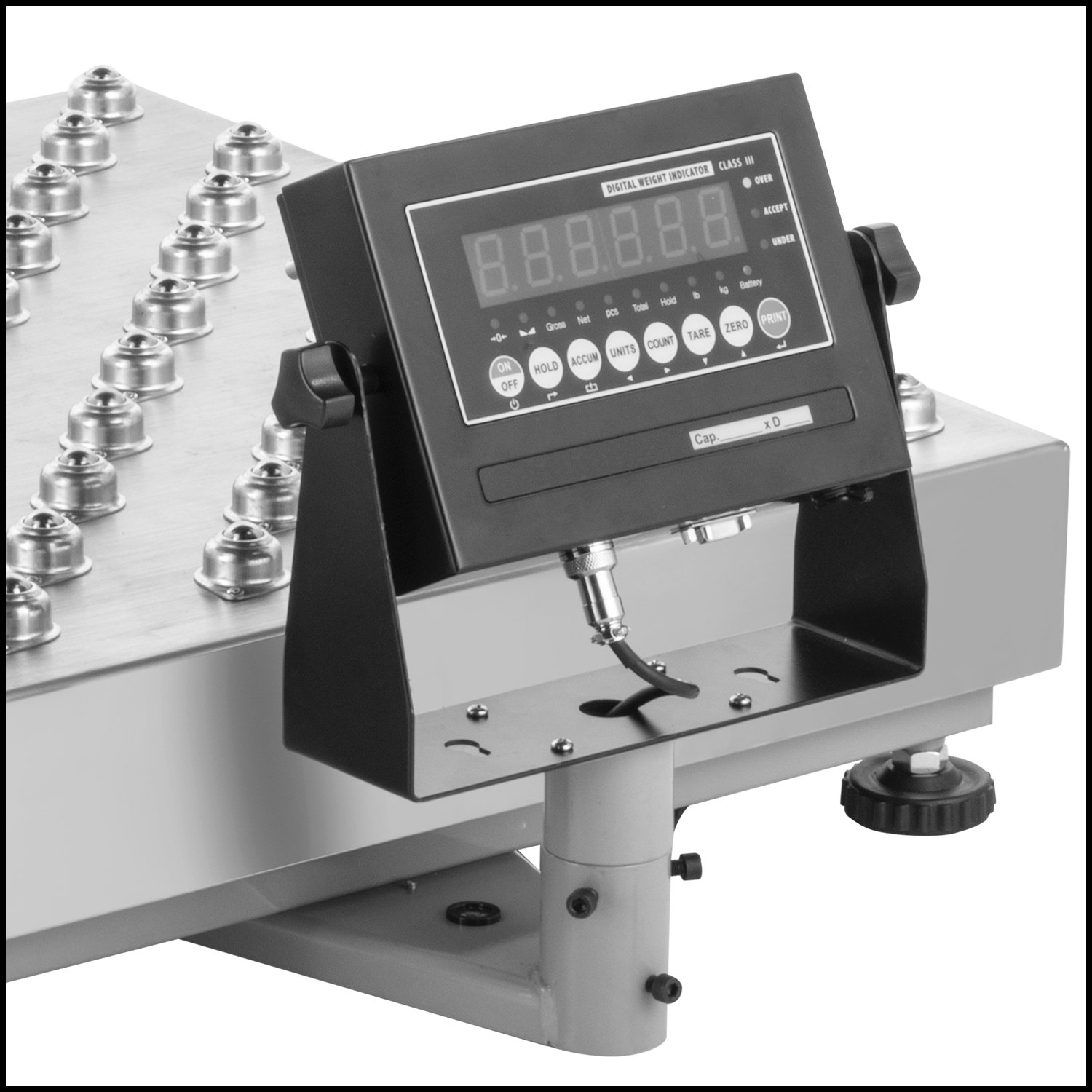 Display Mounted to Scale