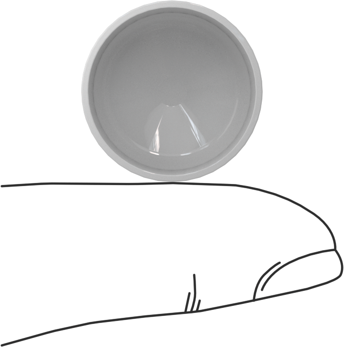 Gıda ve İçecek Sektörü için Kapaklar, 3/4" dış çap için, 1/2" İç Yükseklik