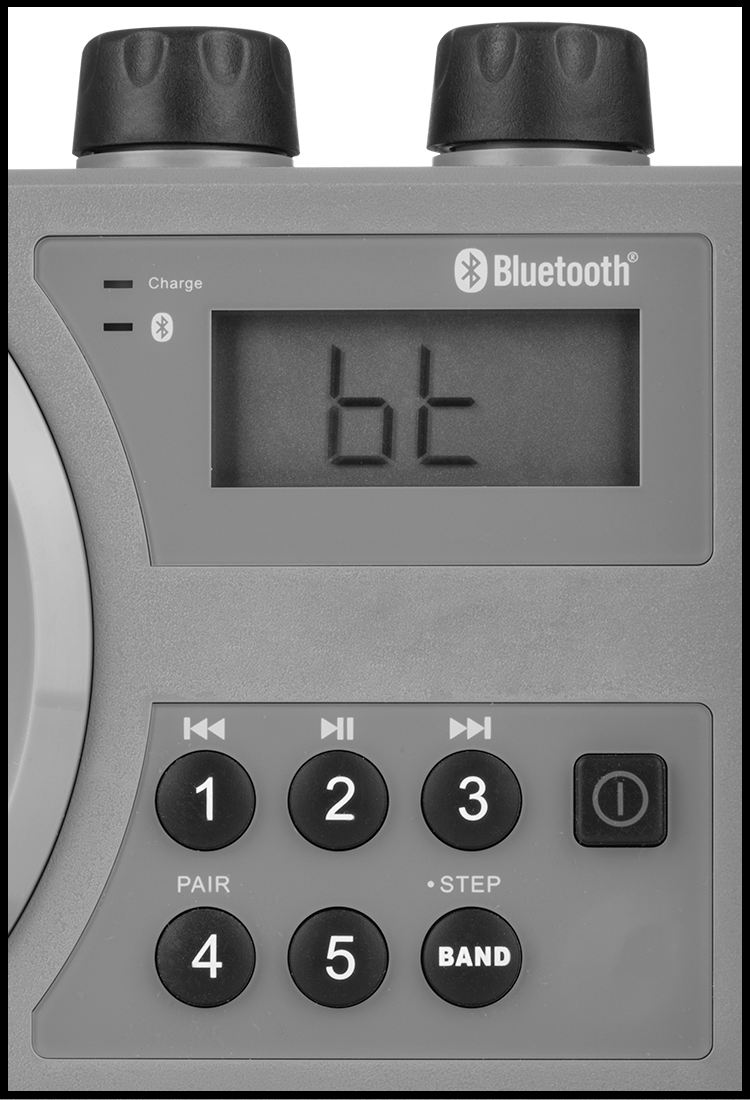 AM/FM and Bluetooth Display