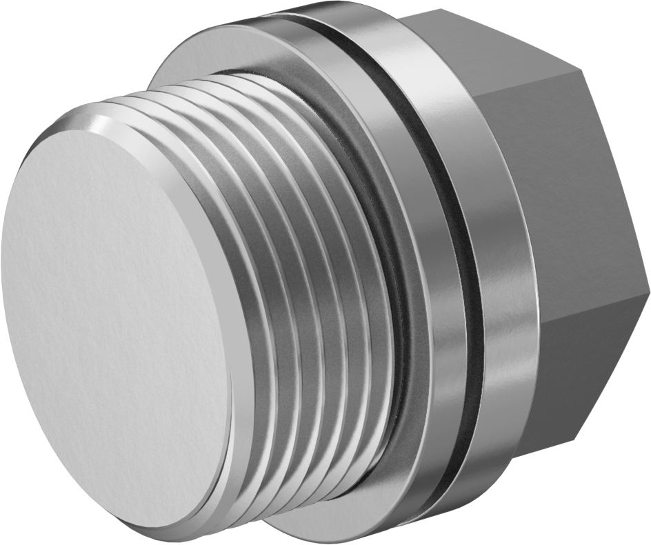 Düşük Basınçlı 316 Paslanmaz Çelik Dişli Tapa, Harici Altıgen Tahrikli, M24 x 1,5 mm Diş Boyutu