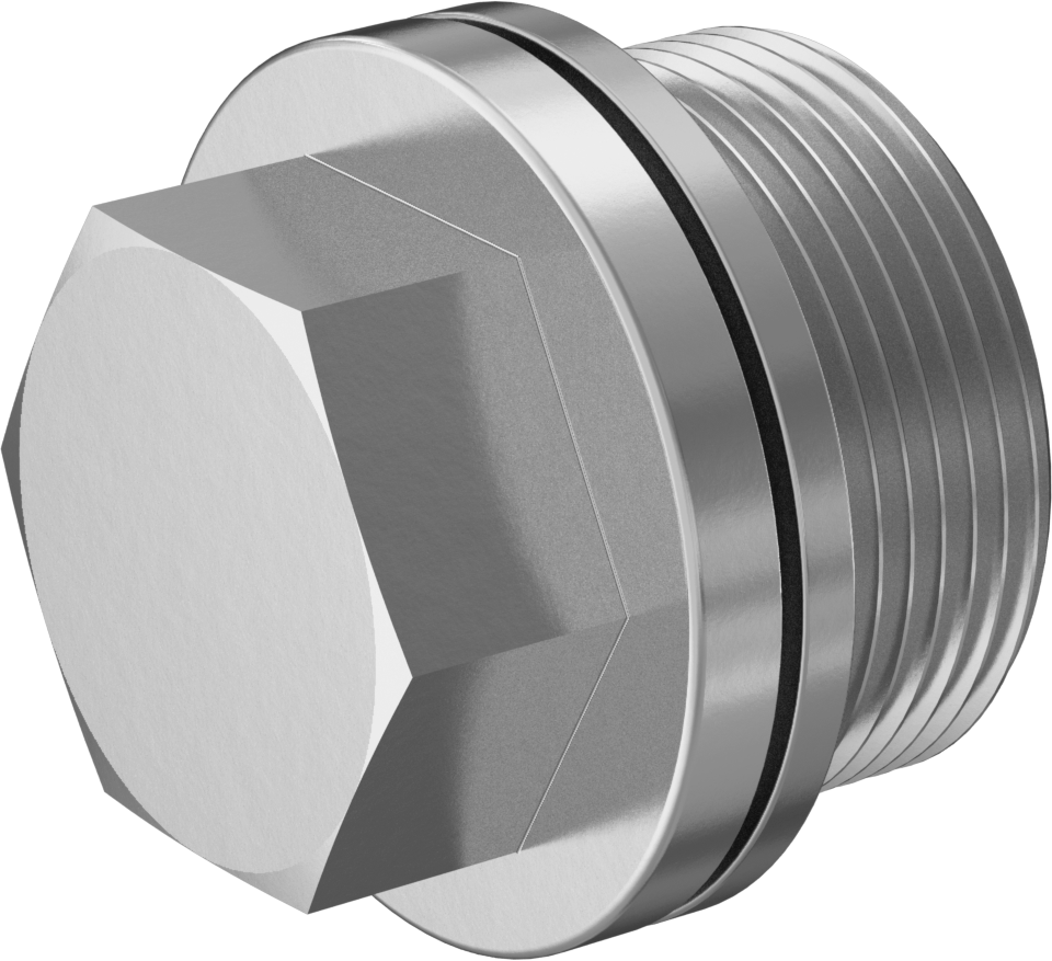 Düşük Basınçlı 316 Paslanmaz Çelik Dişli Tapa, Harici Altıgen Tahrikli, M30 x 1,5 mm Diş Boyutu
