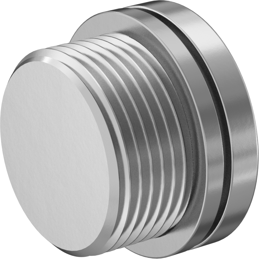 Düşük Basınçlı 316 Paslanmaz Çelik Dişli Tapa, Altıgen Tahrikli, M24 x 1,5 mm Diş Boyutu