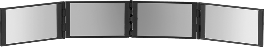 3825N101