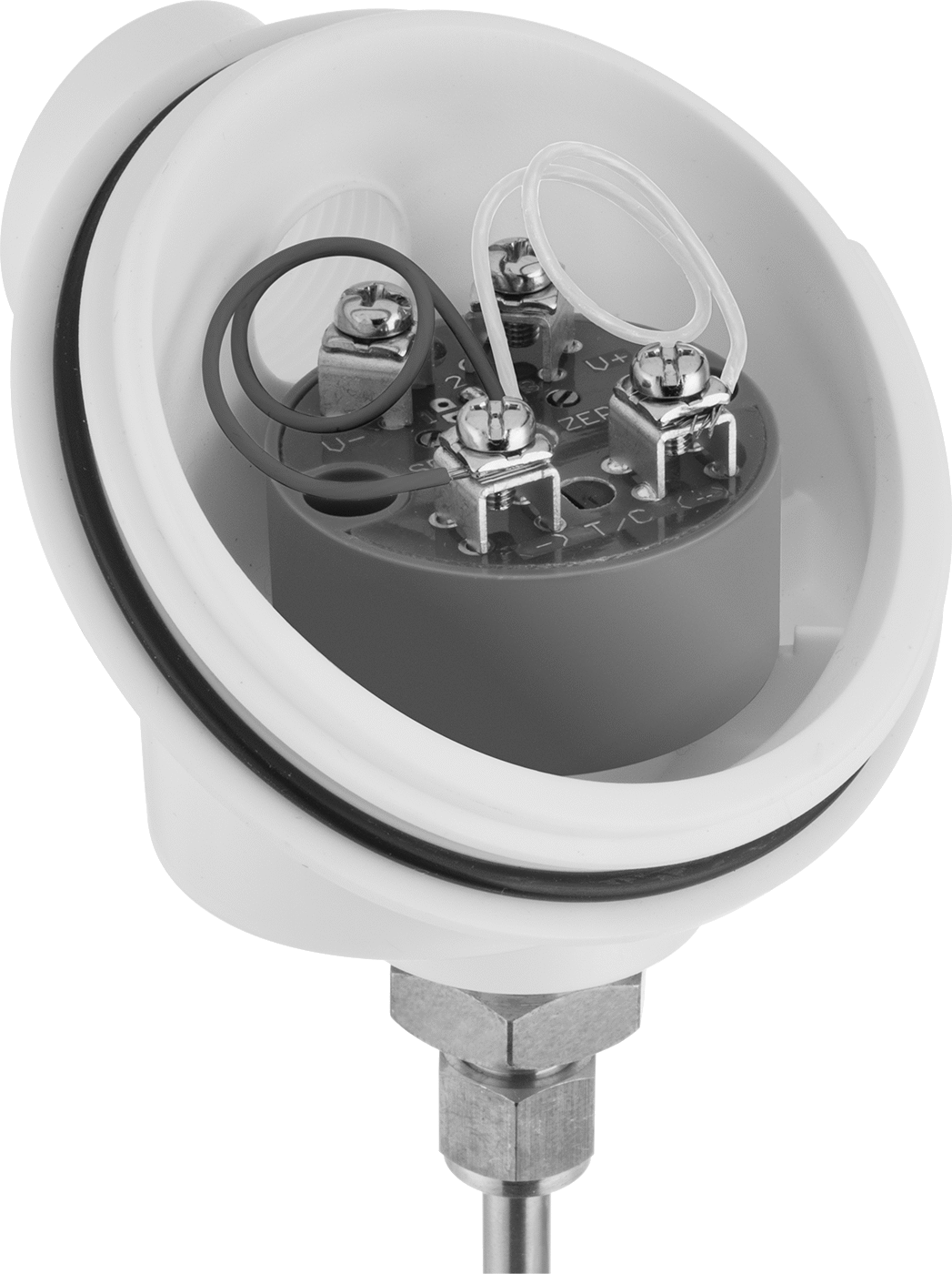 Transmitter Shown Installed (Connection Head and Probe Not Included)