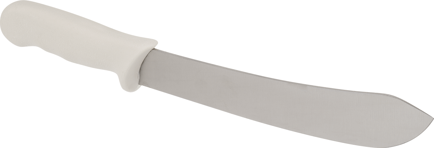 Kasap Bıçağı, 10" Çelik Bıçak ve Plastik Sap ile