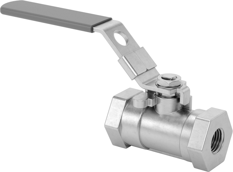 Yakıt için 316 Paslanmaz Çelik Açma/Kapama Vanası, PTFE Plastik Conta, 1/4 NPT Dişi