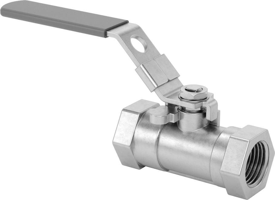 Yakıt için 316 Paslanmaz Çelik Açma/Kapama Vanası, PTFE Plastik Conta, 1/2 NPT Dişi