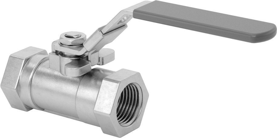 Yakıt için 316 Paslanmaz Çelik Açma/Kapama Vanası, PTFE Plastik Conta, 1/2 NPT Dişi