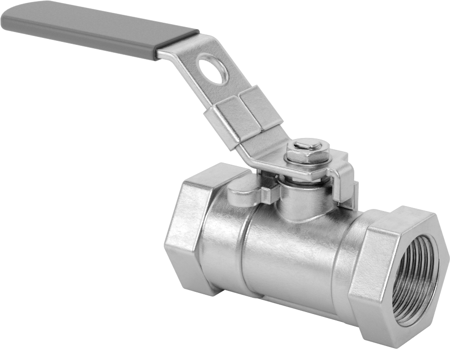 Yakıt için 316 Paslanmaz Çelik Açma/Kapama Vanası, PTFE Plastik Conta, 3/4 NPT Dişi