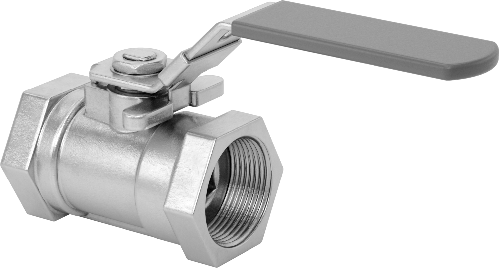 Yakıt için 316 Paslanmaz Çelik Açma/Kapama Vanası, PTFE Plastik Conta, 1-1/4 NPT Dişi