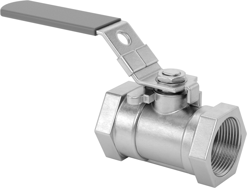Yakıt için 316 Paslanmaz Çelik Açma/Kapama Vanası, PTFE Plastik Conta, 1-1/4 NPT Dişi
