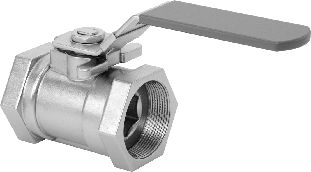 Yakıt için 316 Paslanmaz Çelik Açma/Kapama Vanası, PTFE Plastik Conta, 2 NPT Dişi