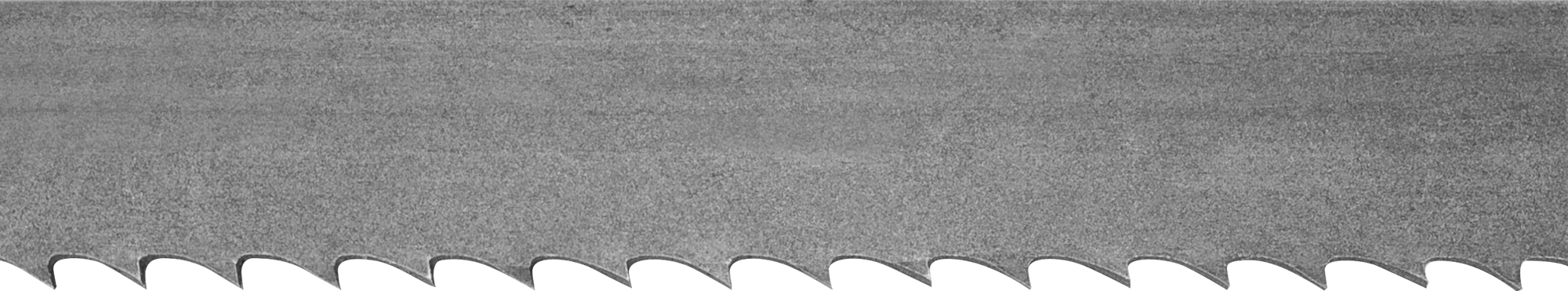 Uzun Ömürlü Şerit Testere Bıçağı, 1/2“ Genişlik x 0,035” Kalınlık, 138" Uzunluk, 10 Diş İnç Başına
