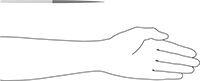 4243A52