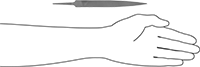 4259A33