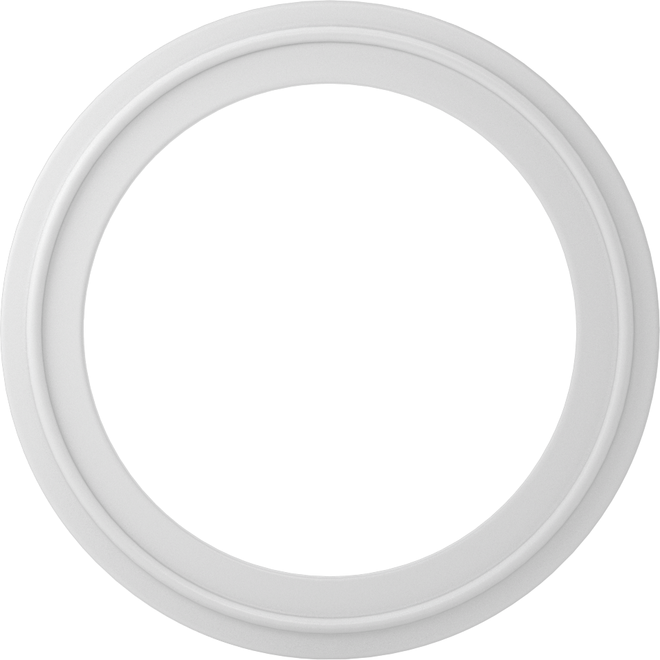 Ultra Kimyasal Dirençli PTFE Plastik Conta, Hızlı Kelepçeli Bağlantı Elemanları için, 81 mm Boru Dış Çapı için