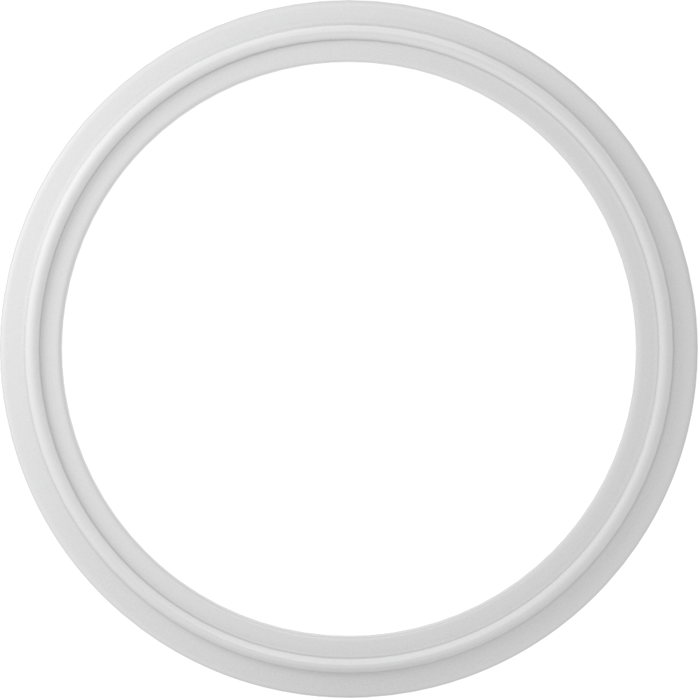 Ultra Kimyasal Dirençli PTFE Plastik Conta, Hızlı Kelepçeli Bağlantı Elemanları için, 100 mm Boru Dış Çapı için