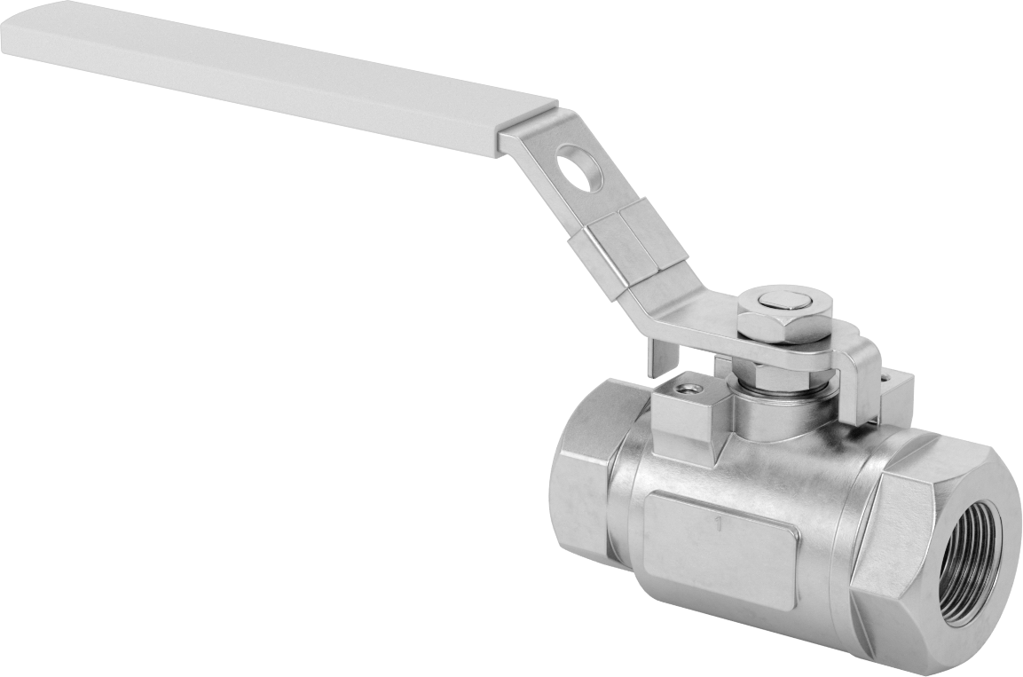 Yakıt için 316 Paslanmaz Çelik Açma/Kapama Vanası, Floroelastomer Kauçuk Conta, 1 NPT Dişi, 3600 PSI Maksimum