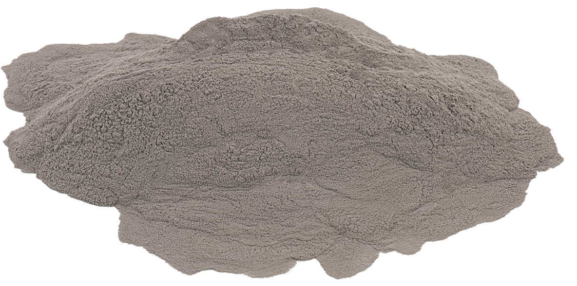 4439N101